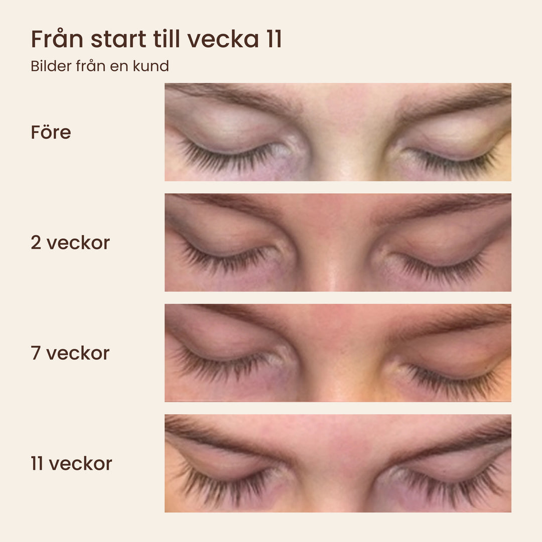 Kundens resultat – före, 2, 7 och 11 veckor